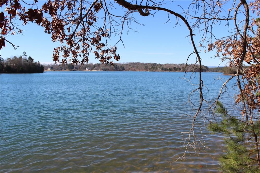 Lot 7 Kelley Ridge Road Seneca, SC 29672 - Photo 4 of 22 Gallery Image 4