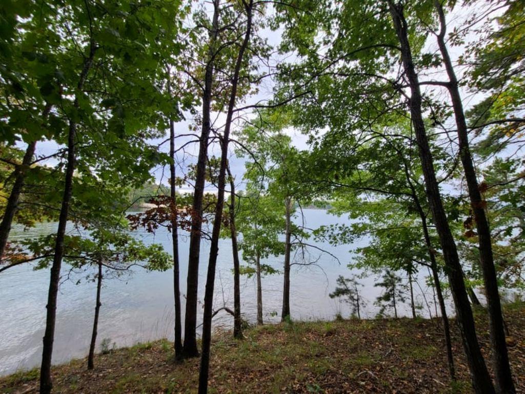 Lot 7 Kelley Ridge Road Seneca, SC 29672 - Photo 6 of 22 Gallery Image 6