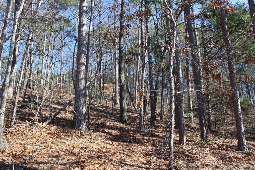 Lot 7 Kelley Ridge Road Seneca, SC 29672 - Photo 8 of 22 Gallery Image 8