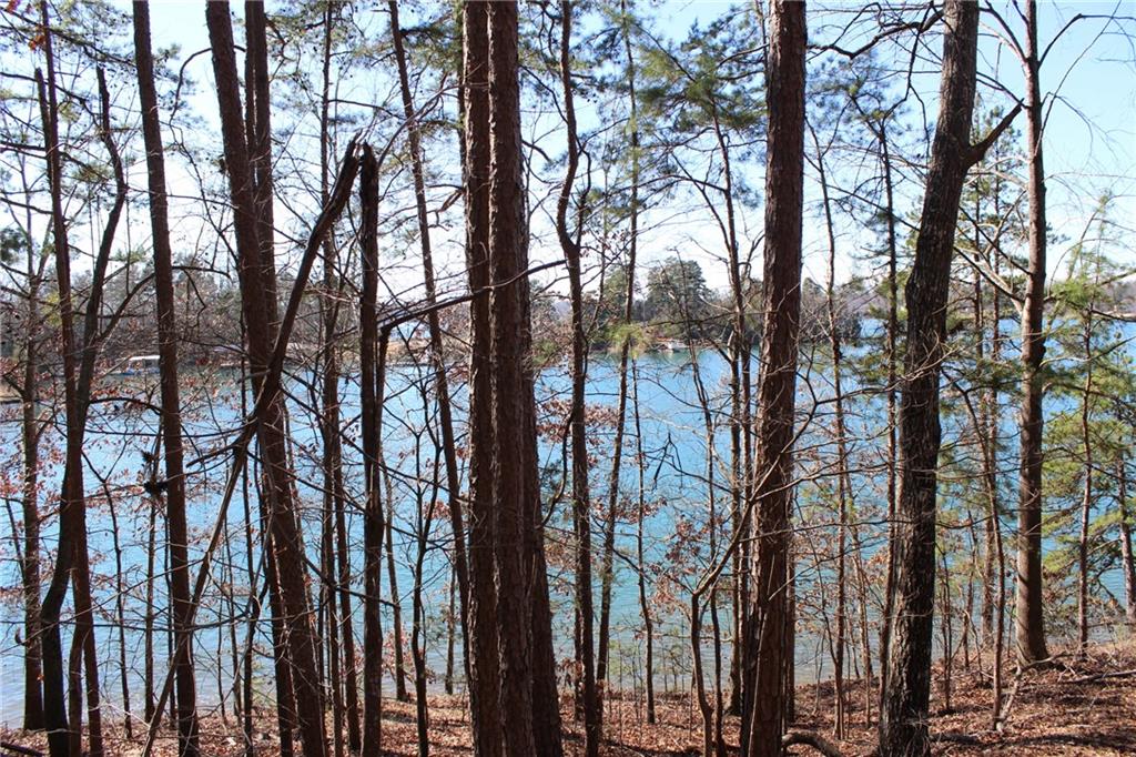 Lot 7 Kelley Ridge Road Seneca, SC 29672 - Photo 9 of 22 Gallery Image 9