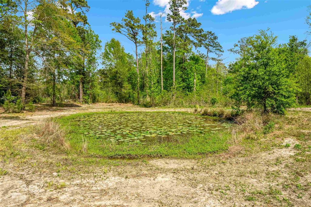 964 Green Moore Road Starks, LA 70661 - Photo 22 of 28