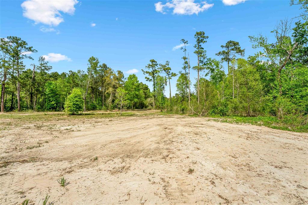 964 Green Moore Road Starks, LA 70661 - Photo 26 of 28