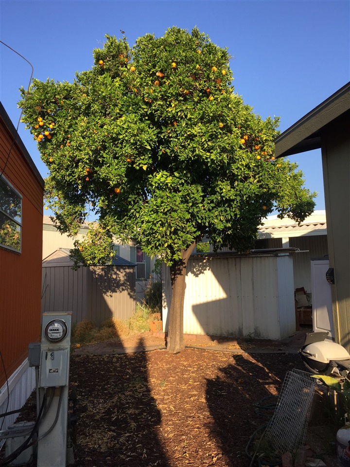 9459 Mission Gorge Road, Unit SPC 19 Santee, CA 92071 - Photo 10 of 25