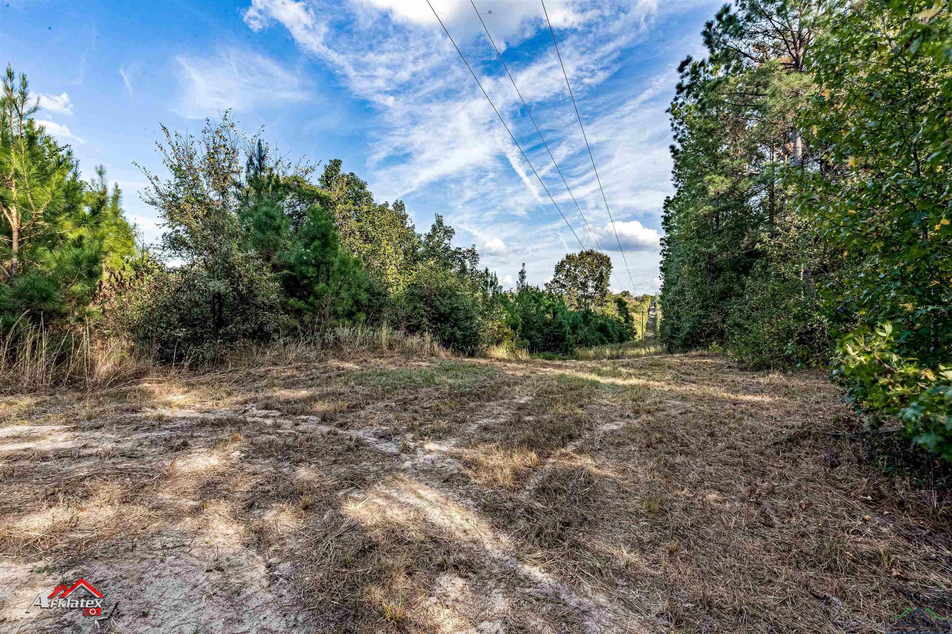 Tbd Fire Tower Road Hallsville, TX 75650 - Photo 5 of 12 Gallery Image 5