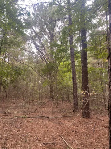 $115,000 | Pap Armstrong Road, Wiggins, MS 39577