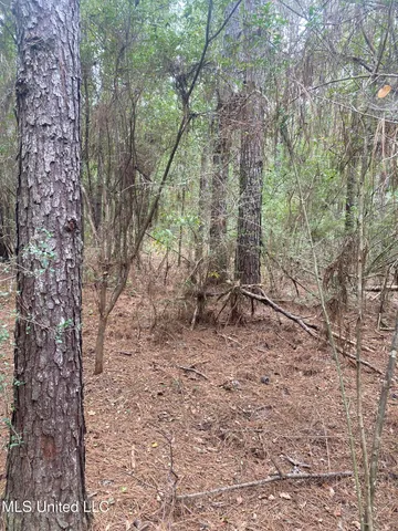 $115,000 | Pap Armstrong Road, Wiggins, MS 39577