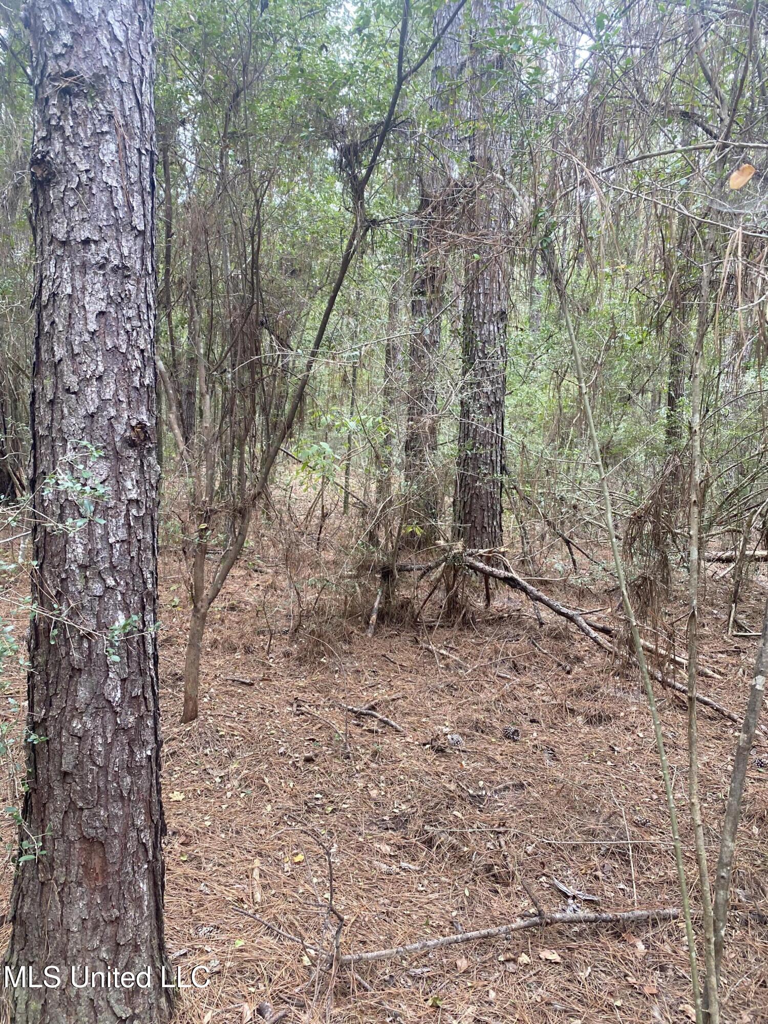 Pap Armstrong Road Wiggins, MS 39577 - Photo 2 of 9 201DB46F-6343-4E7A-B74E-AB653BB78B91