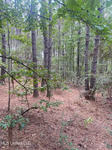 $115,000 | Pap Armstrong Road, Wiggins, MS 39577