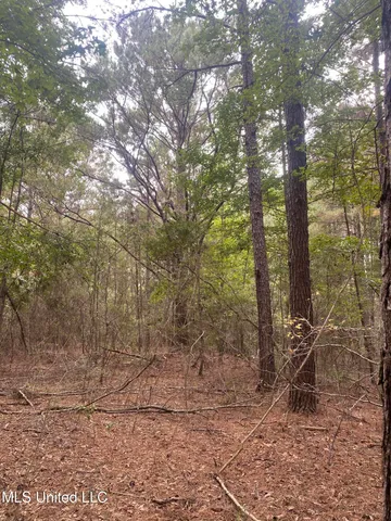 $115,000 | Pap Armstrong Road, Wiggins, MS 39577