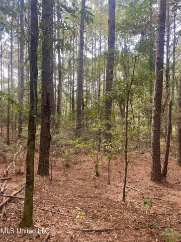 $115,000 | Pap Armstrong Road, Wiggins, MS 39577