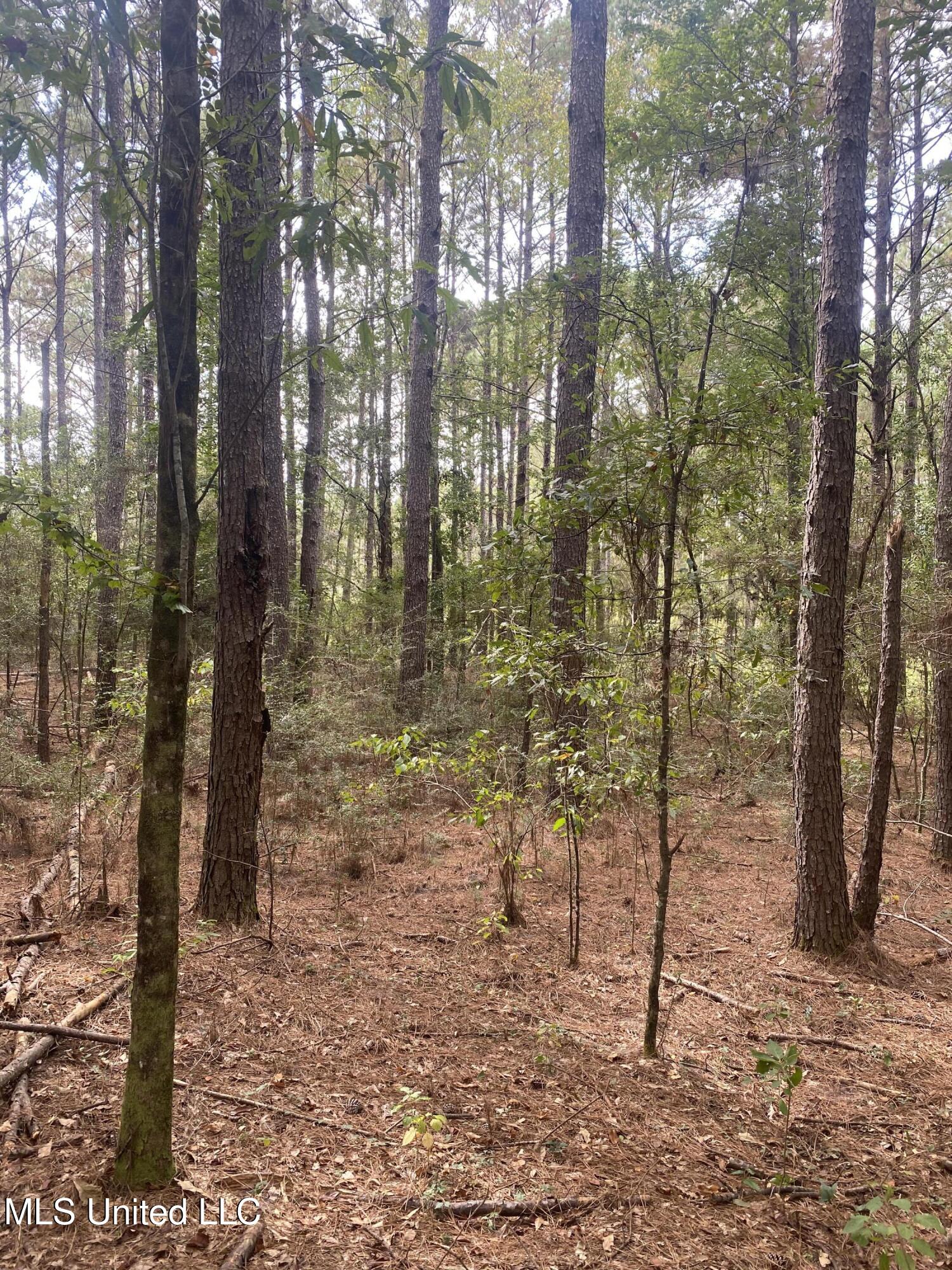 Pap Armstrong Road Wiggins, MS 39577 - Photo 5 of 9 1CD082D5-D824-4F09-87D9-DFEF12BBCE96