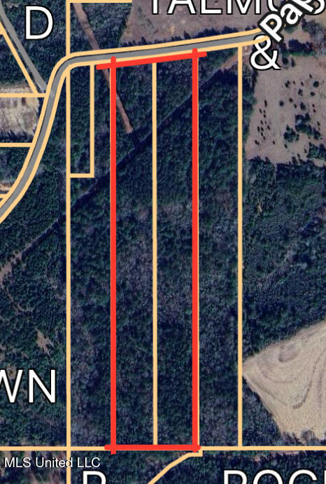 Pap Armstrong Road Wiggins, MS 39577 - Photo 7 of 9 1E2E38EC-4F53-4EEA-9558-2AB6E3A8AE5C