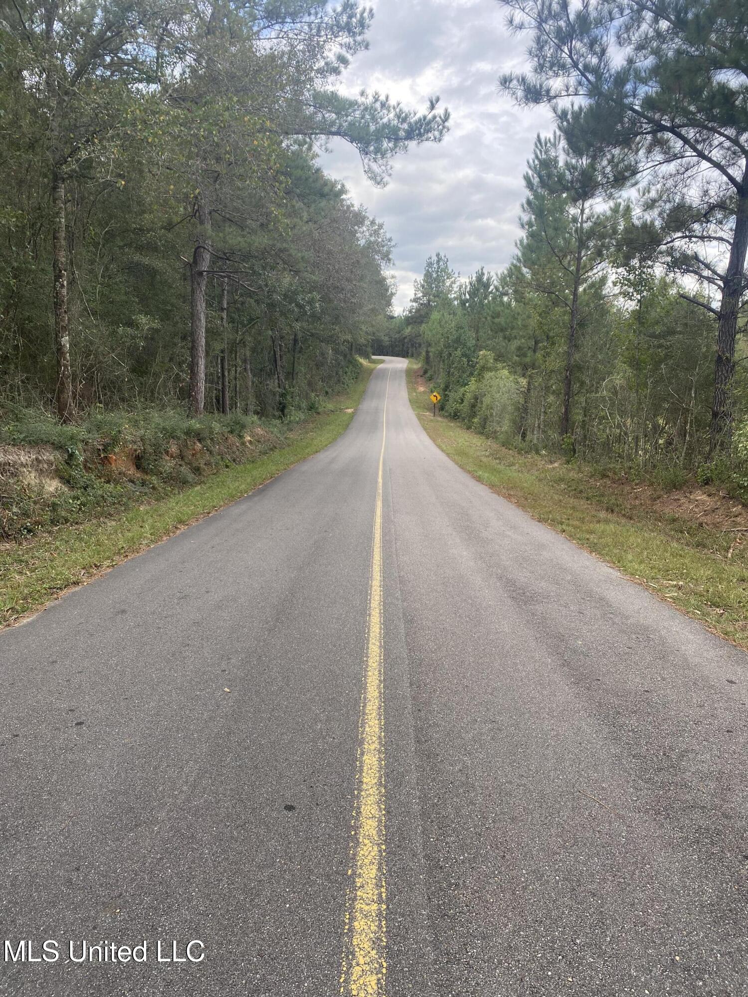 Pap Armstrong Road Wiggins, MS 39577 - Photo 9 of 9 67F2779F-3C2E-4007-8432-F854870D78C4