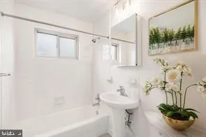 a bathroom with a potted plant and a sink