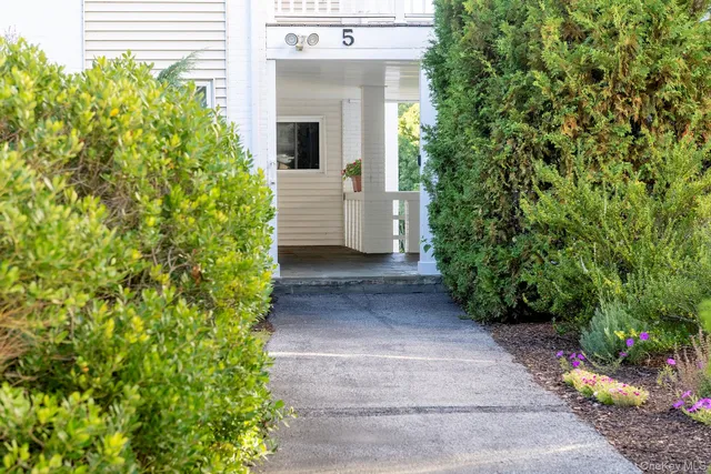 a view of a pathway with plants