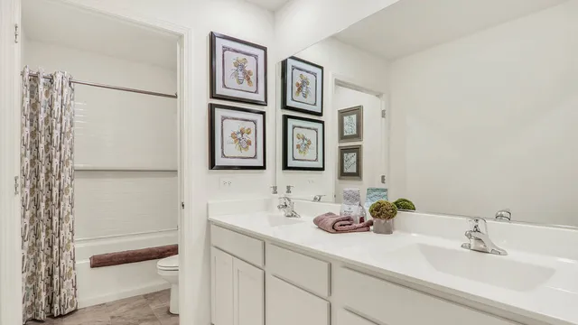 a bathroom with a shower and a toilet