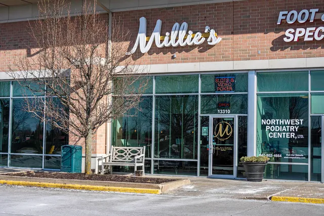 a view of a street with potted plants and large trees