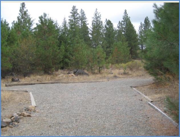 36950 Crescent Road North Reardan, WA 99029 - Photo 3 of 9 Gallery Image 3