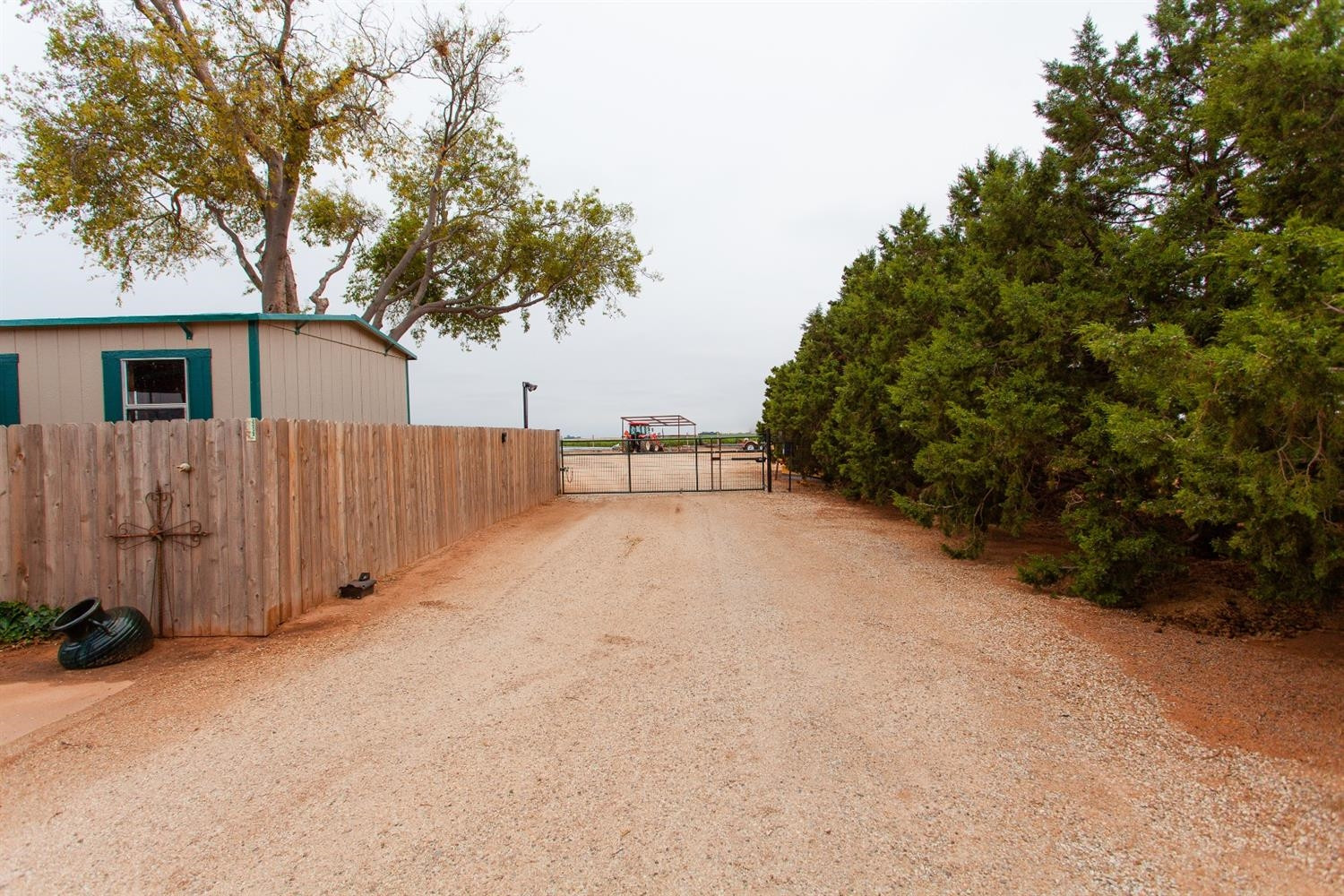 6980 Farm To Market 41 Ropesville, TX 79358 - Photo 21 of 35 Photo 21