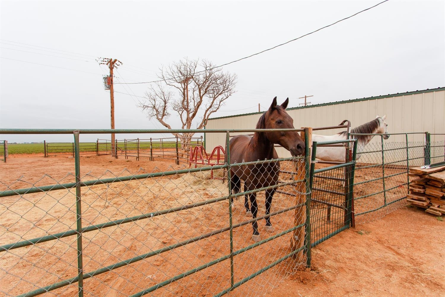 6980 Farm To Market 41 Ropesville, TX 79358 - Photo 26 of 35 Photo 26