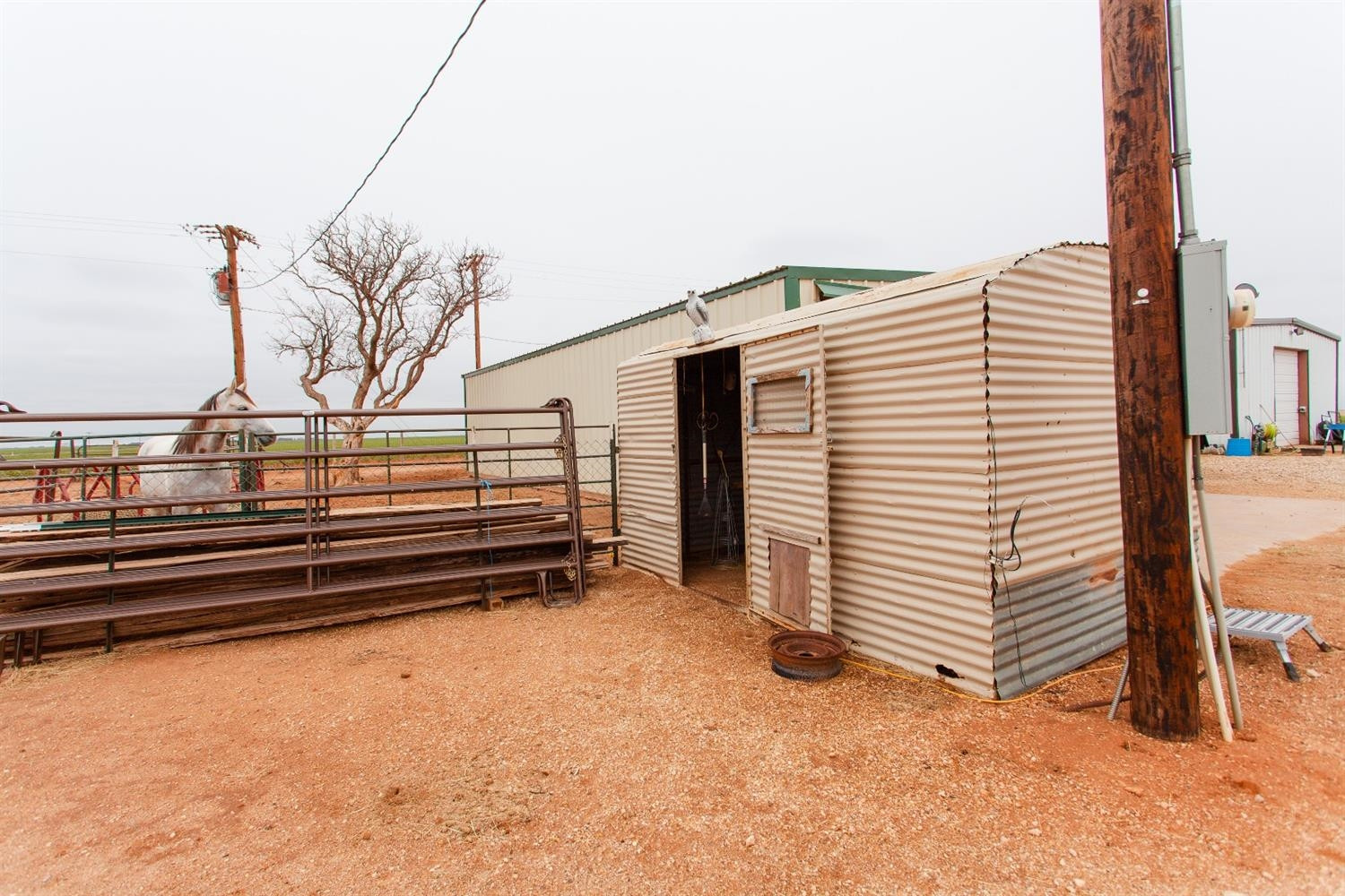 6980 Farm To Market 41 Ropesville, TX 79358 - Photo 27 of 35 Photo 27