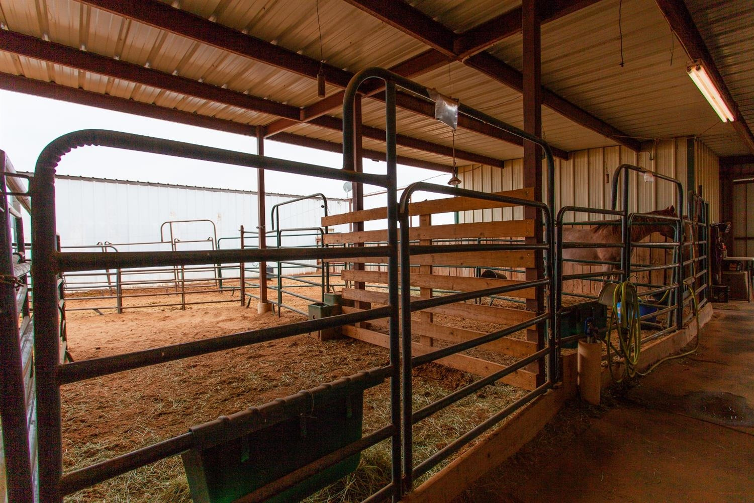 6980 Farm To Market 41 Ropesville, TX 79358 - Photo 30 of 35 Photo 30