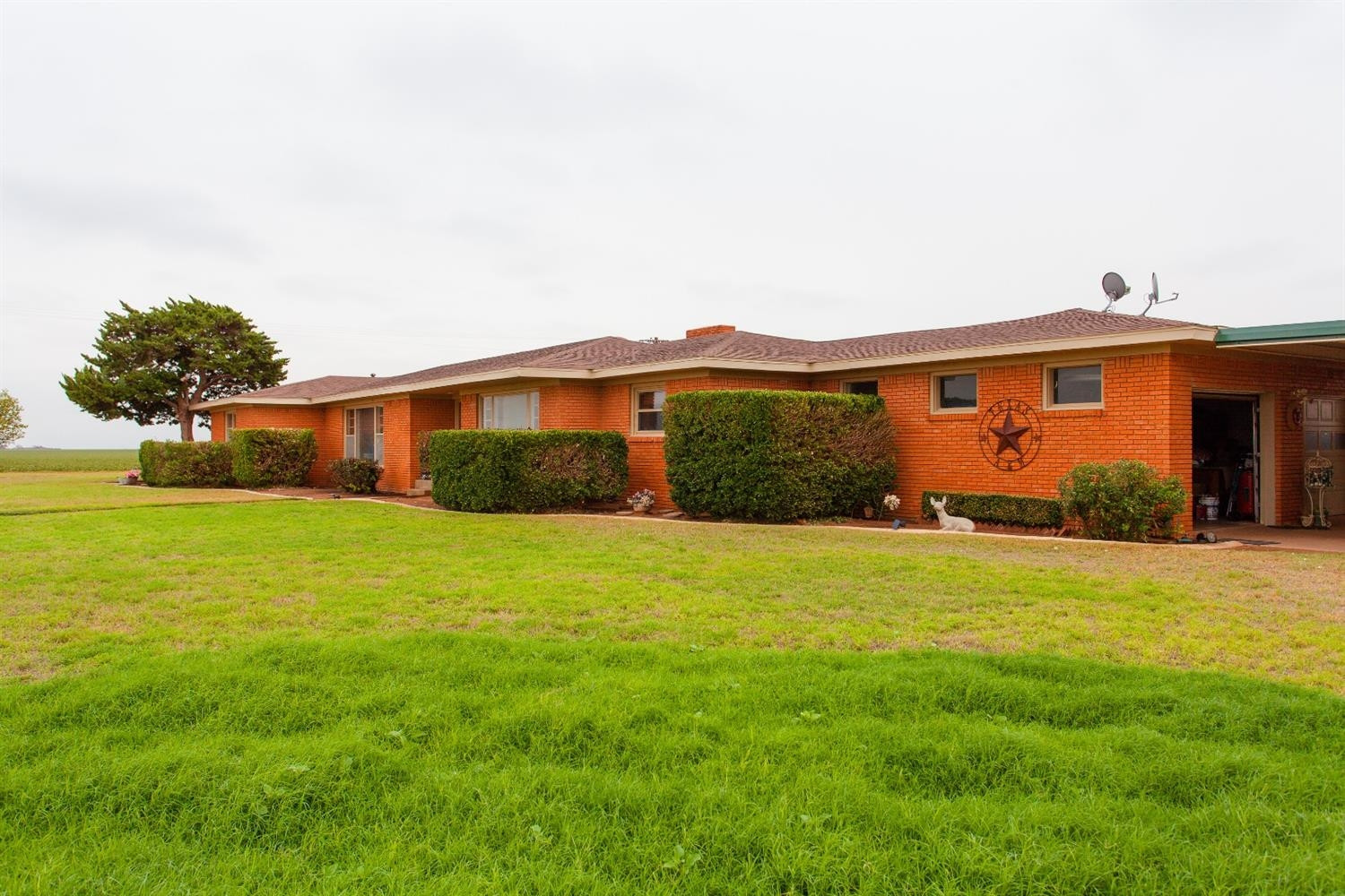 6980 Farm To Market 41 Ropesville, TX 79358 - Photo 3 of 35 Photo 3