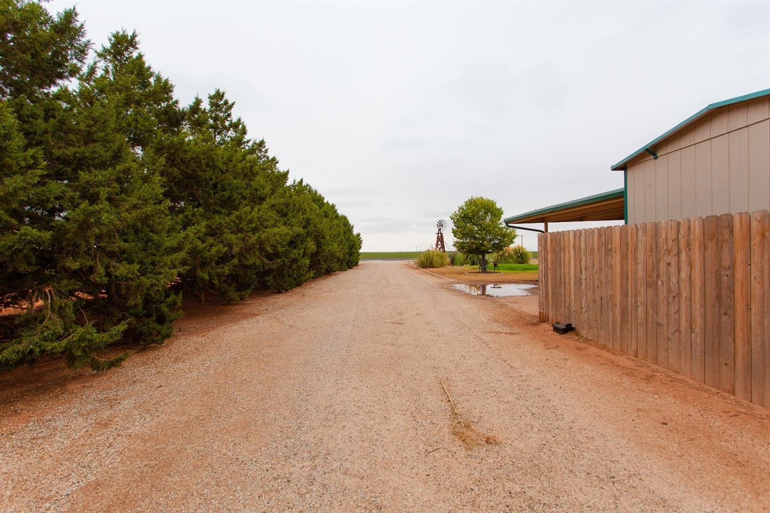 6980 Farm To Market 41 Ropesville, TX 79358 - Photo 34 of 35 Photo 34