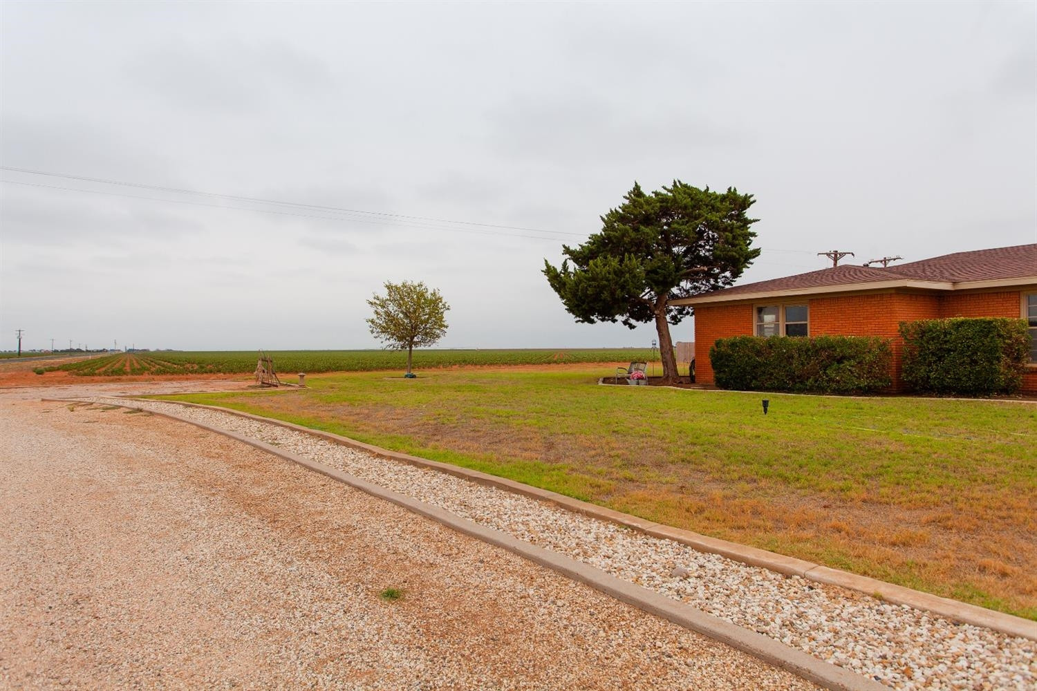 6980 Farm To Market 41 Ropesville, TX 79358 - Photo 4 of 35 Photo 4
