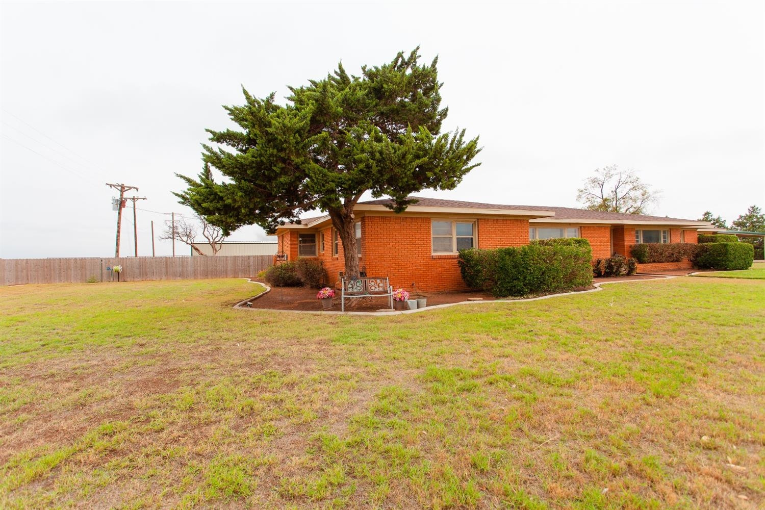 6980 Farm To Market 41 Ropesville, TX 79358 - Photo 5 of 35 Photo 5
