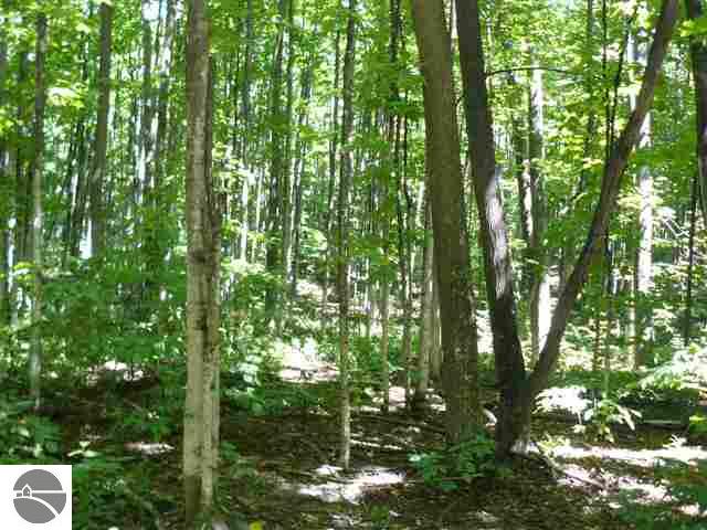 2144 North Jacobson Road, Unit LOT: 4 Suttons Bay, MI 49682 - Photo 3 of 7