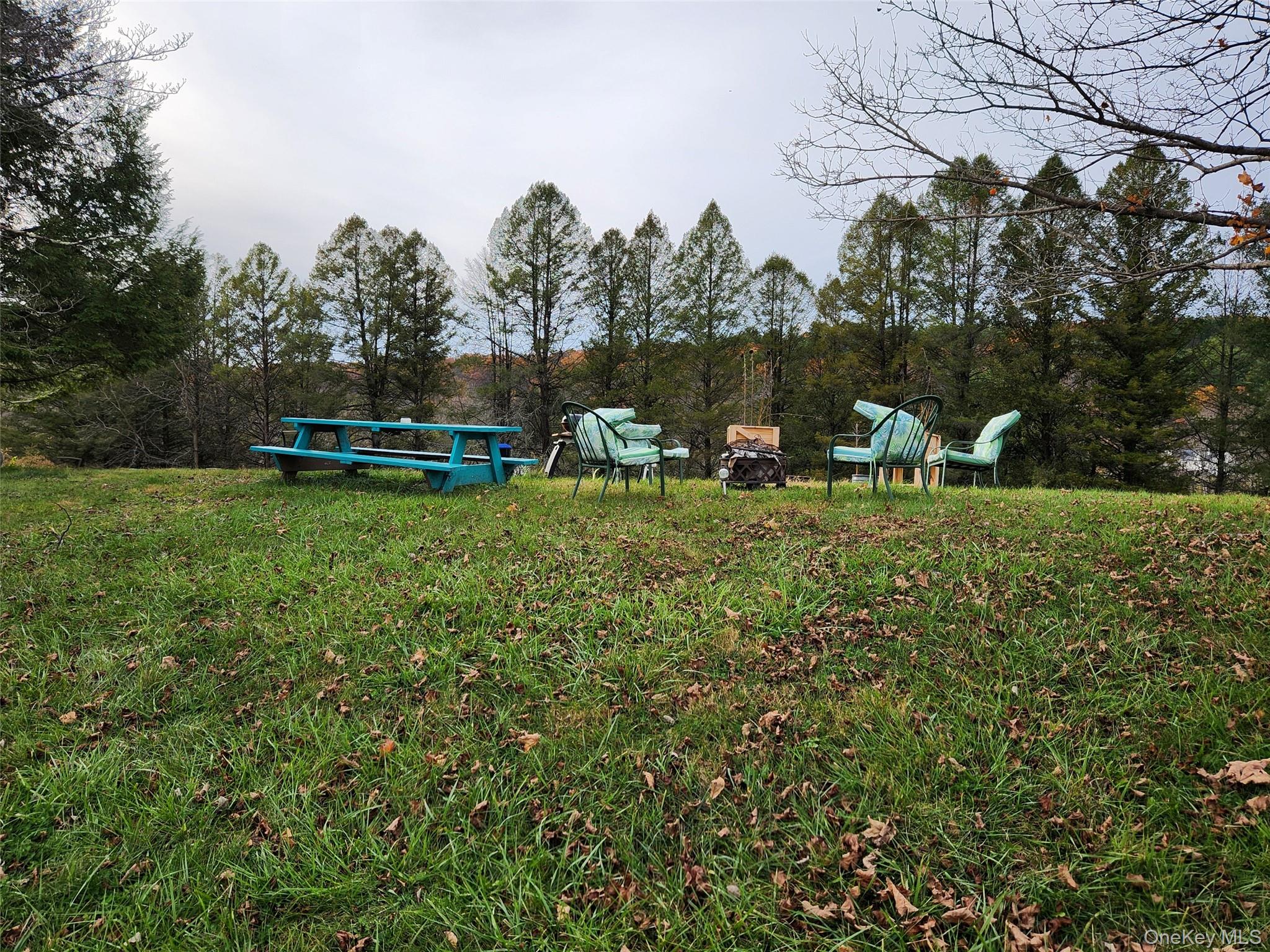 12 Traver Road Staatsburg, NY 12580 - Photo 10 of 11 a view of a park with large trees