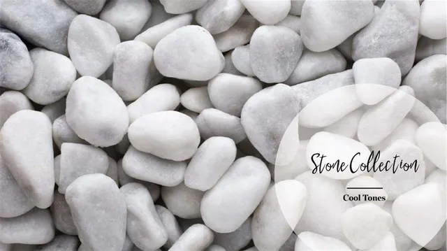 a picture of a table with a rug