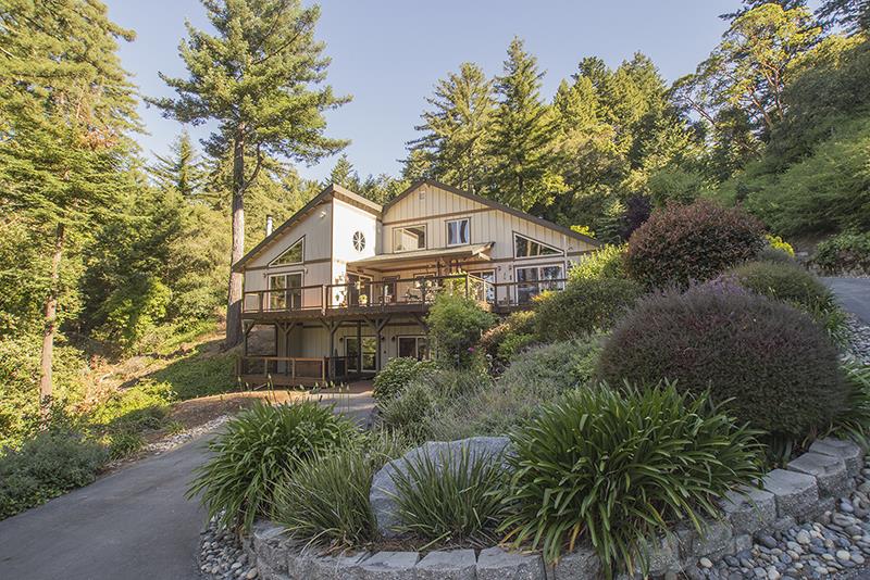 a view of a house with a yard and plants
