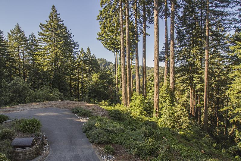 223 Ridge Road Woodside, CA 94062 - Photo 2 of 27 a view of outdoor space and garden
