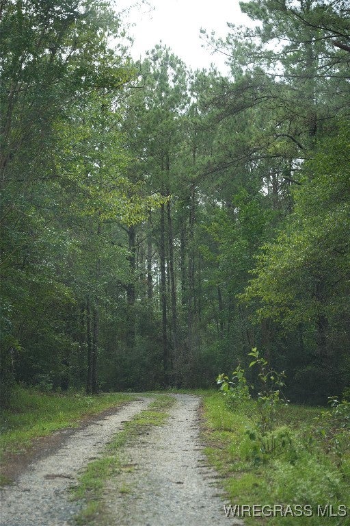 1795 Lindsey Bridge Road Andalusia, AL 36420 - Photo 56 of 60 Gallery Image 56