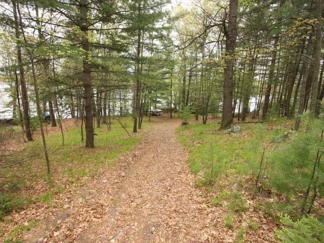 Lot 15 Nature Road Rhinelander, WI 54501 - Photo 7 of 16 Gallery Image 7
