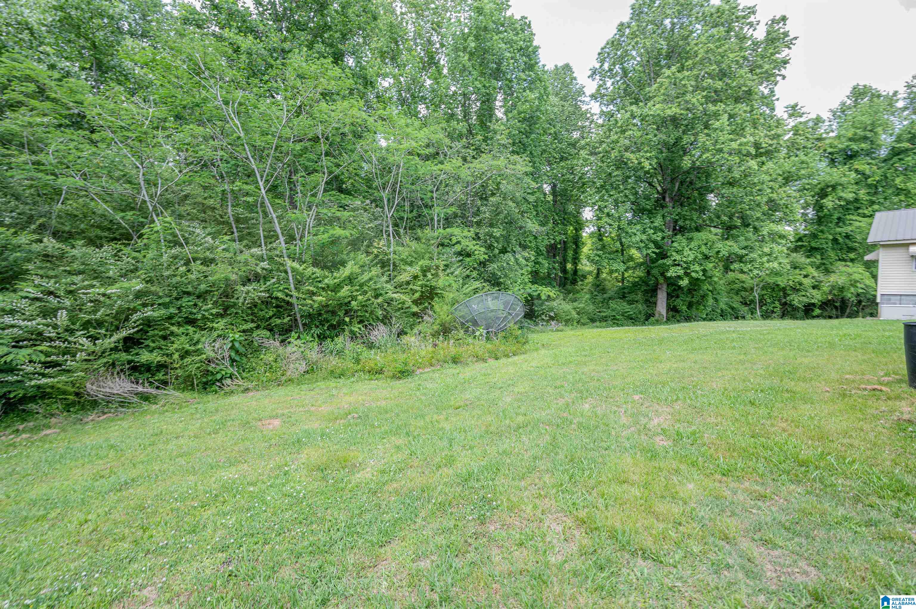 2484 Lively Road Adamsville, AL 35005 - Photo 48 of 50