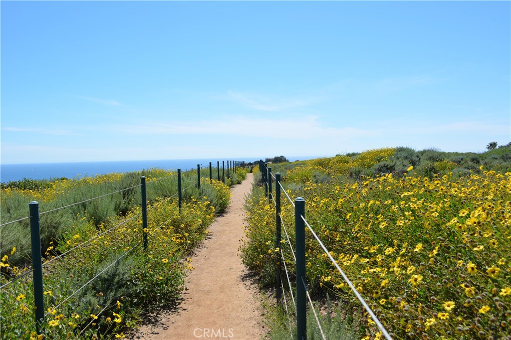 34381 Dana Strand Road Dana Point, CA 92629 - Photo 19 of 68 Trailhead on Dana Strands is just a few yards from the property.