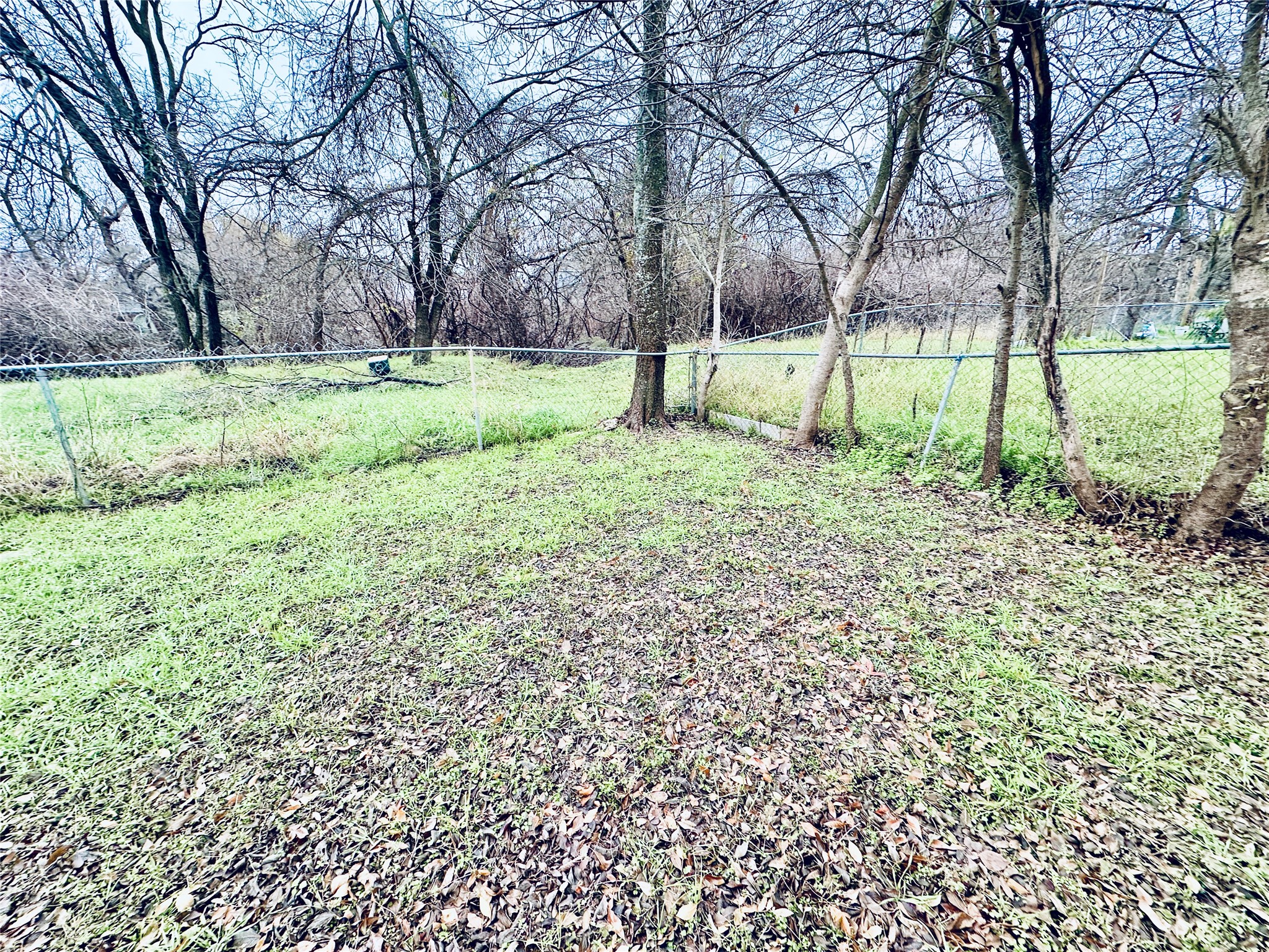 12505 Turtle Rock Road, Unit A Austin, TX 78729 - Photo 37 of 38 A verdant, open lot, partially fenced, awaits your vision amidst mature trees.