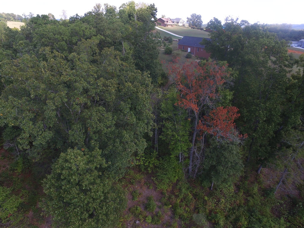 Lot 19 Aidans Trail, Unit 19 Rutledge, TN 37861 - Photo 13 of 21 Photo 13