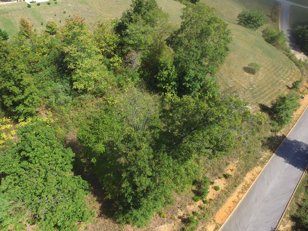 Lot 19 Aidans Trail, Unit 19 Rutledge, TN 37861 - Photo 18 of 21 Photo 18
