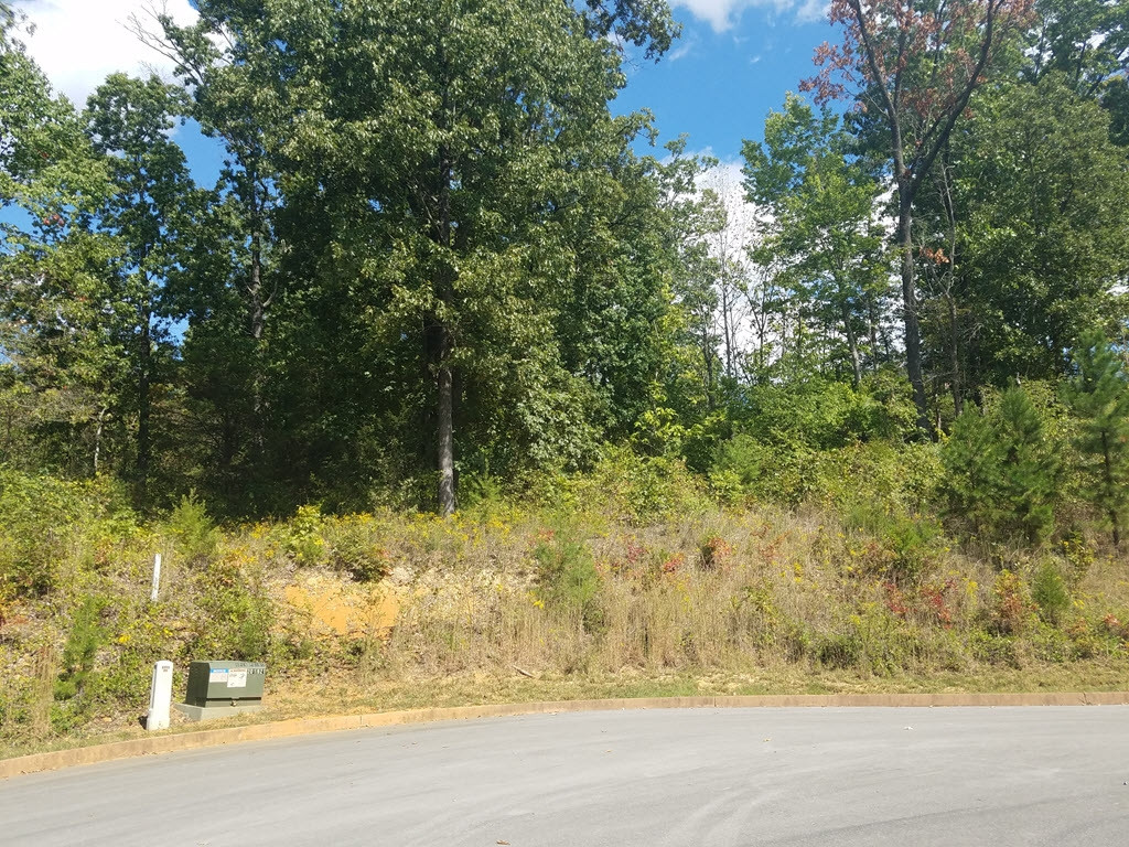 Lot 19 Aidans Trail, Unit 19 Rutledge, TN 37861 - Photo 2 of 21 Photo 2