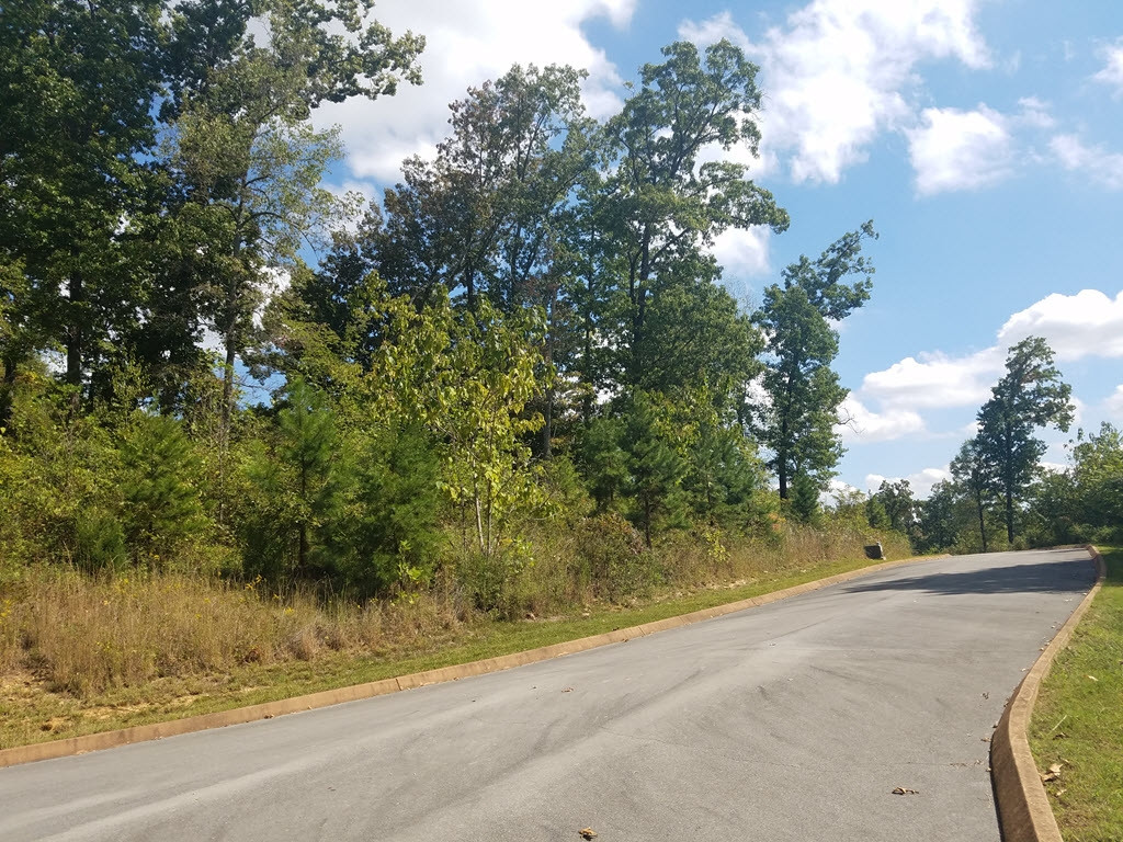 Lot 19 Aidans Trail, Unit 19 Rutledge, TN 37861 - Photo 8 of 21 Photo 8