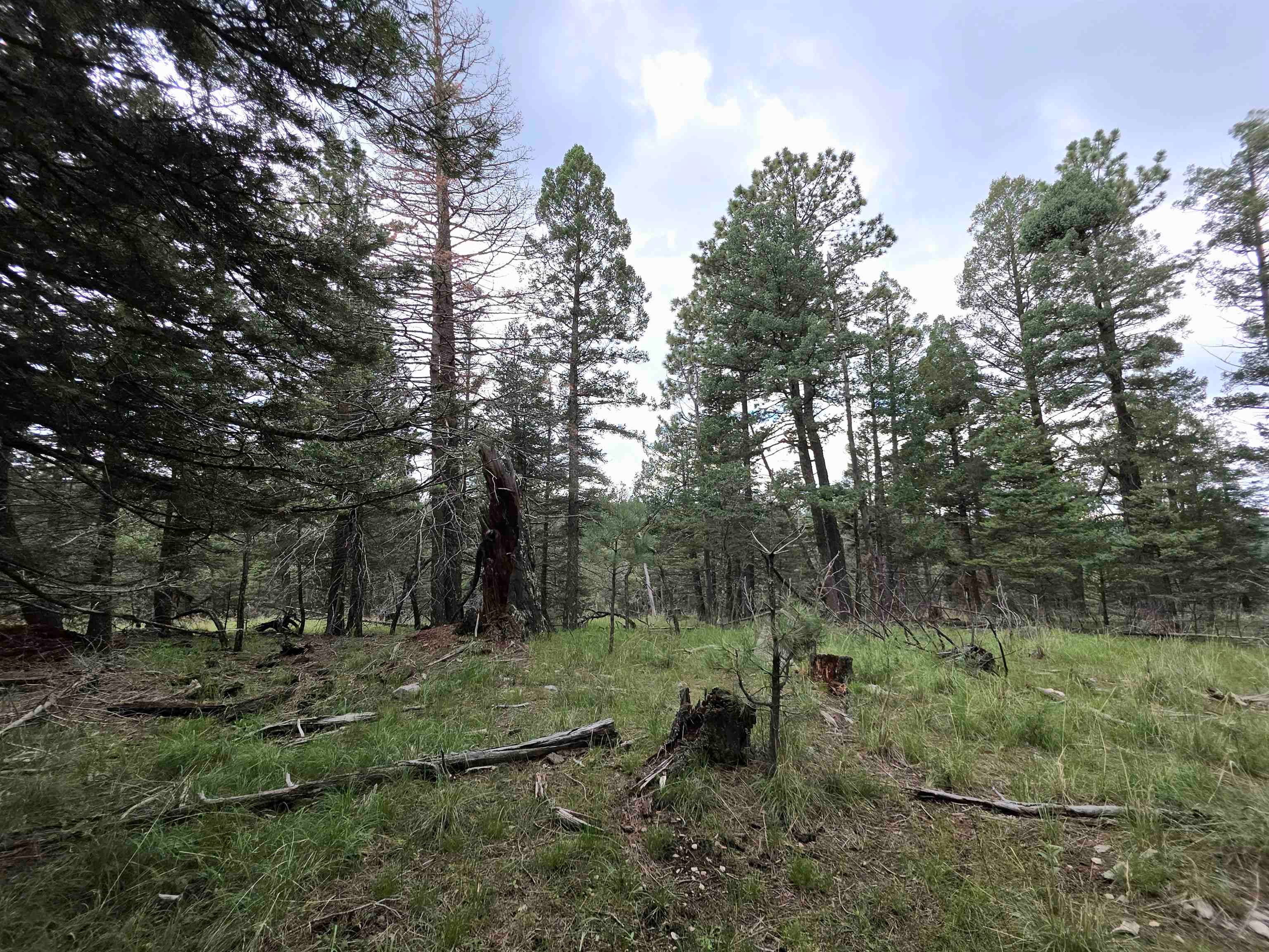 Lot 58 Big Dipper Road Mayhill, NM 88339 - Photo 26 of 50 Gallery Image 26