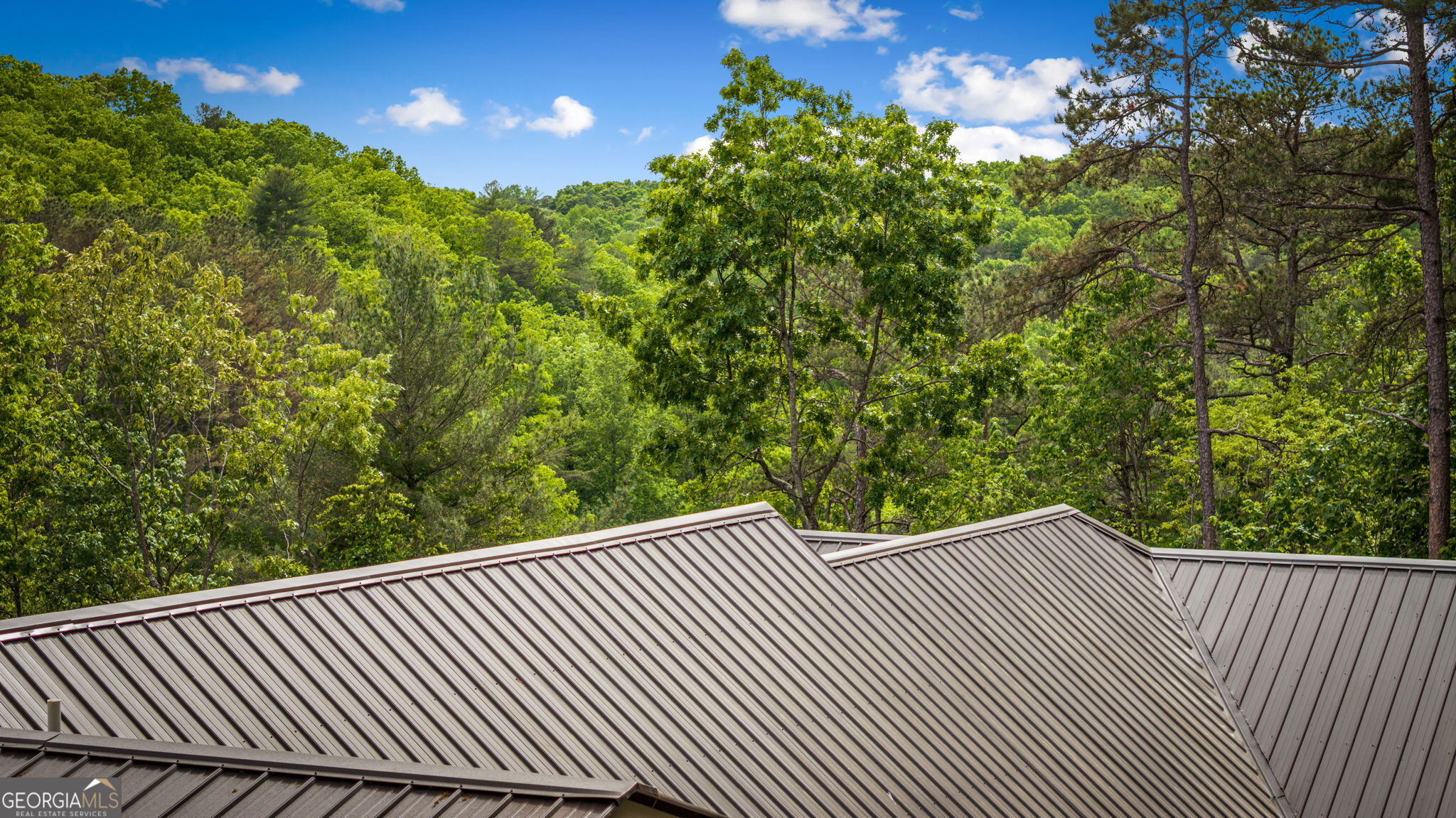 60 Weeks Lane Ellijay, GA 30540 - Photo 7 of 83