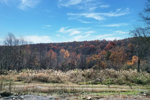 $297,900 | 221 Dandy Road, Signal Mountain, TN 37377