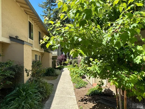 a backyard of a house with plants and trees
