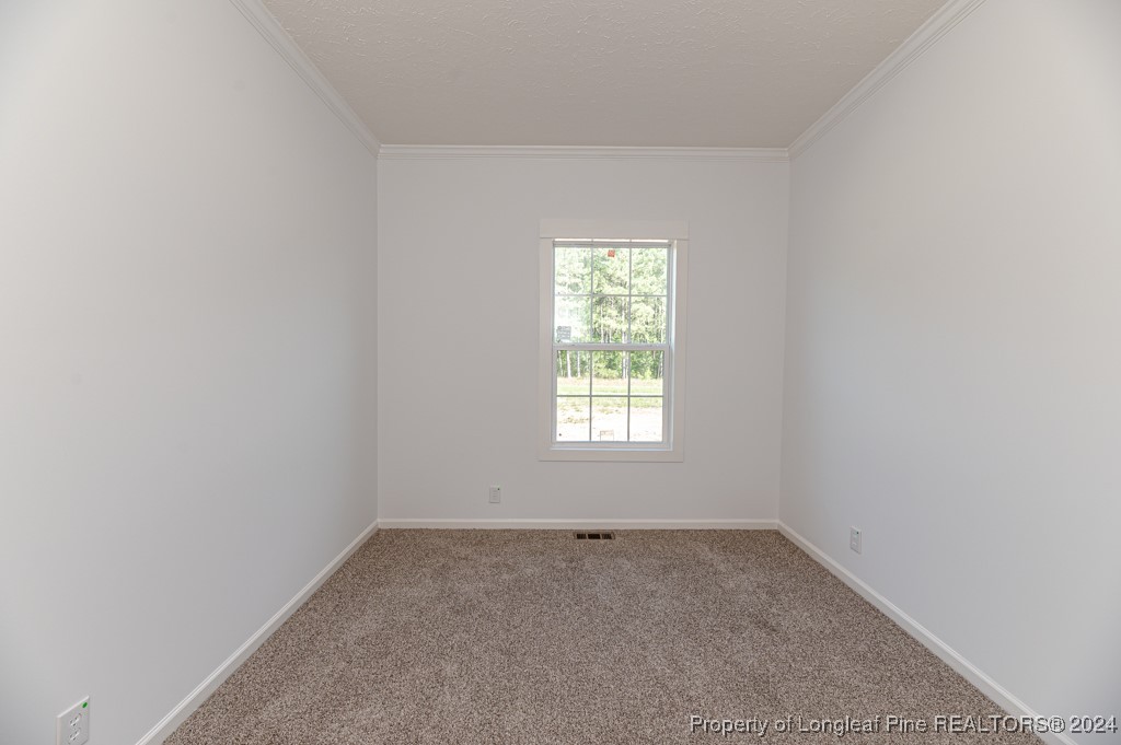 885 Loop Road Bunnlevel, NC 28323 - Photo 9 of 37 Gallery Image 9