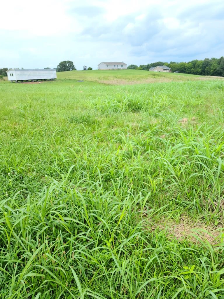 51 O'Neil Road Newport, TN 37821 - Photo 2 of 2